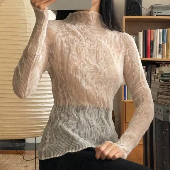 THE SHISHIKUI CHIFFON 覚え 